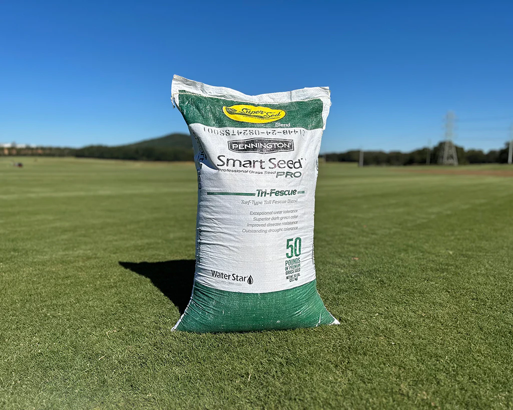 Fresh Grass Seed
